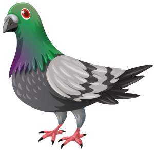 Pigeon PNG-54589